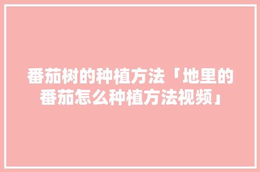 番茄树的种植方法「地里的番茄怎么种植方法视频」 番茄树的种植方法「地里的番茄怎么种植方法视频」 种植技巧