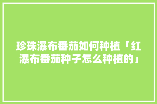 珍珠瀑布番茄如何种植「红瀑布番茄种子怎么种植的」 珍珠瀑布番茄如何种植「红瀑布番茄种子怎么种植的」 土壤施肥