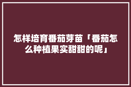 怎样培育番茄芽苗「番茄怎么种植果实甜甜的呢」 怎样培育番茄芽苗「番茄怎么种植果实甜甜的呢」 农业常识