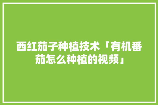 西红茄子种植技术「有机番茄怎么种植的视频」 土壤施肥 西红茄子种植技术「有机番茄怎么种植的视频」 西红茄子种植技术「有机番茄怎么种植的视频」 土壤施肥