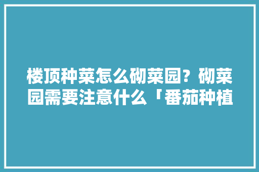 楼顶种菜怎么砌菜园？砌菜园需要注意什么「番茄种植怎么搭棚子视频」