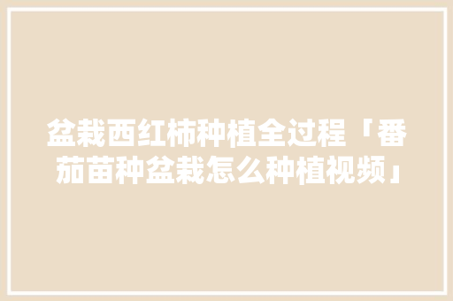 盆栽西红柿种植全过程「番茄苗种盆栽怎么种植视频」 盆栽西红柿种植全过程「番茄苗种盆栽怎么种植视频」 土壤施肥