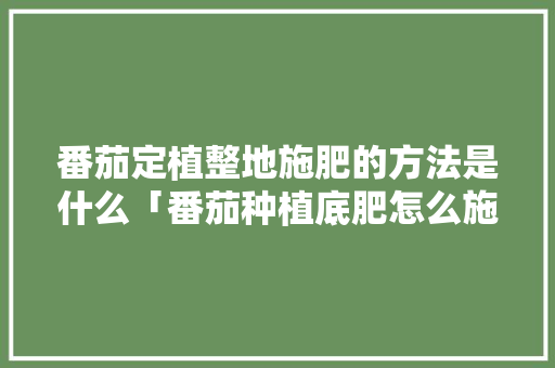 番茄定植整地施肥的方法是什么「番茄种植底肥怎么施肥视频」 番茄定植整地施肥的方法是什么「番茄种植底肥怎么施肥视频」 农业常识