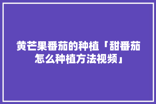 黄芒果番茄的种植「甜番茄怎么种植方法视频」 黄芒果番茄的种植「甜番茄怎么种植方法视频」 番茄病虫害防治