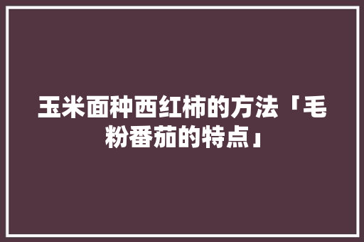 玉米面种西红柿的方法「毛粉番茄的特点」 玉米面种西红柿的方法「毛粉番茄的特点」 花朵知识