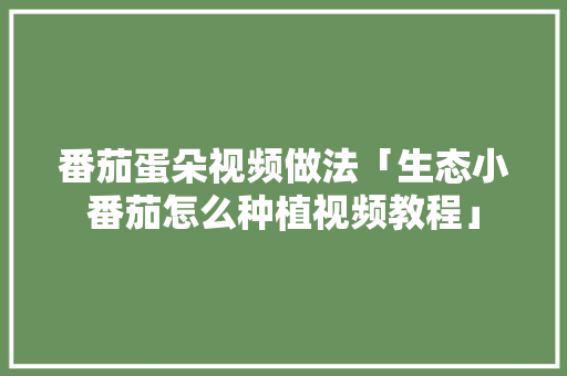 番茄蛋朵视频做法「生态小番茄怎么种植视频教程」 番茄蛋朵视频做法「生态小番茄怎么种植视频教程」 土壤施肥