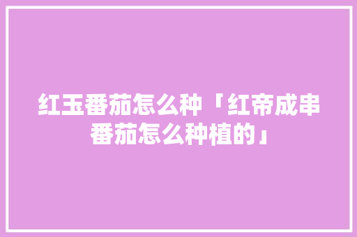 红玉番茄怎么种「红帝成串番茄怎么种植的」 红玉番茄怎么种「红帝成串番茄怎么种植的」 农业常识