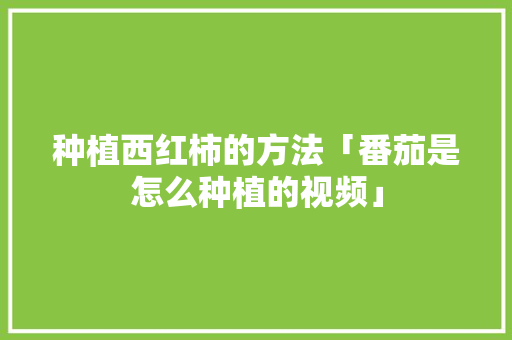 种植西红柿的方法「番茄是怎么种植的视频」 种植西红柿的方法「番茄是怎么种植的视频」 农业常识