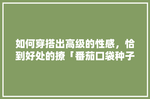 如何穿搭出高级的性感，恰到好处的撩「番茄口袋种子怎么种植的视频」