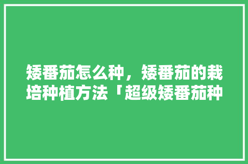 矮番茄怎么种，矮番茄的栽培种植方法「超级矮番茄种子怎么种植的」 矮番茄怎么种，矮番茄的栽培种植方法「超级矮番茄种子怎么种植的」 种植技巧