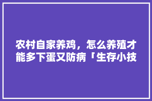 农村自家养鸡，怎么养殖才能多下蛋又防病「生存小技巧蔬菜种植视频教程」
