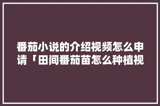 番茄小说的介绍视频怎么申请「田间番茄苗怎么种植视频教程」 番茄小说的介绍视频怎么申请「田间番茄苗怎么种植视频教程」 种植技巧