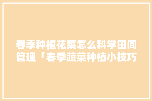 春季种植花菜怎么科学田间管理「春季蔬菜种植小技巧教程视频」