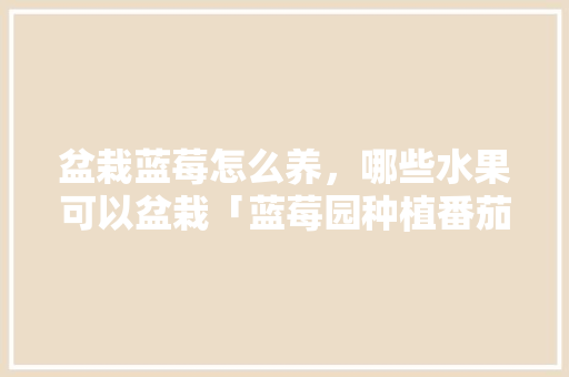 盆栽蓝莓怎么养，哪些水果可以盆栽「蓝莓园种植番茄怎么种植的」