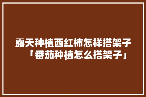 露天种植西红柿怎样搭架子「番茄种植怎么搭架子」 露天种植西红柿怎样搭架子「番茄种植怎么搭架子」 番茄病虫害防治