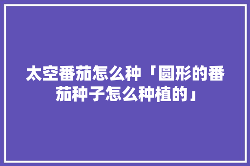 太空番茄怎么种「圆形的番茄种子怎么种植的」 太空番茄怎么种「圆形的番茄种子怎么种植的」 植物种类