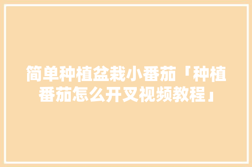 简单种植盆栽小番茄「种植番茄怎么开叉视频教程」 简单种植盆栽小番茄「种植番茄怎么开叉视频教程」 番茄病虫害防治
