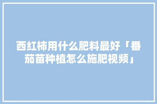 西红柿用什么肥料最好「番茄苗种植怎么施肥视频」 西红柿用什么肥料最好「番茄苗种植怎么施肥视频」 种植技巧