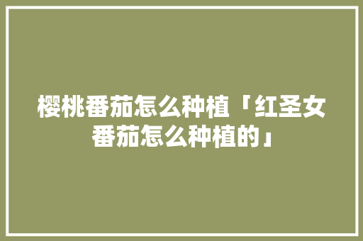 樱桃番茄怎么种植「红圣女番茄怎么种植的」 樱桃番茄怎么种植「红圣女番茄怎么种植的」 土壤施肥