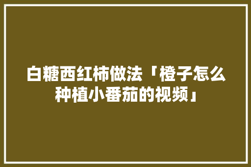 白糖西红柿做法「橙子怎么种植小番茄的视频」 白糖西红柿做法「橙子怎么种植小番茄的视频」 农业常识