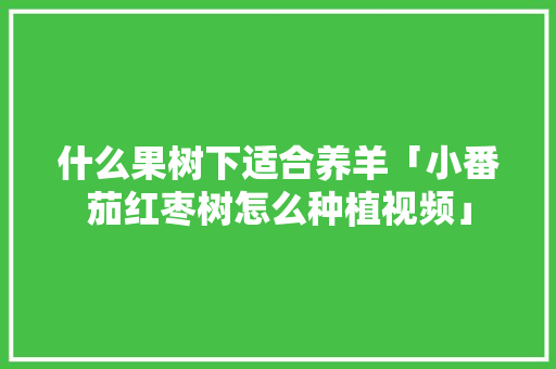 什么果树下适合养羊「小番茄红枣树怎么种植视频」 什么果树下适合养羊「小番茄红枣树怎么种植视频」 农业常识
