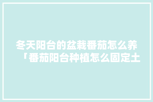 冬天阳台的盆栽番茄怎么养「番茄阳台种植怎么固定土壤」 冬天阳台的盆栽番茄怎么养「番茄阳台种植怎么固定土壤」 农业常识