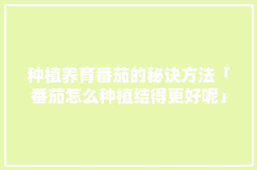 种植养育番茄的秘诀方法「番茄怎么种植结得更好呢」 种植养育番茄的秘诀方法「番茄怎么种植结得更好呢」 番茄病虫害防治