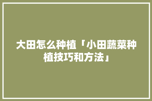 大田怎么种植「小田蔬菜种植技巧和方法」