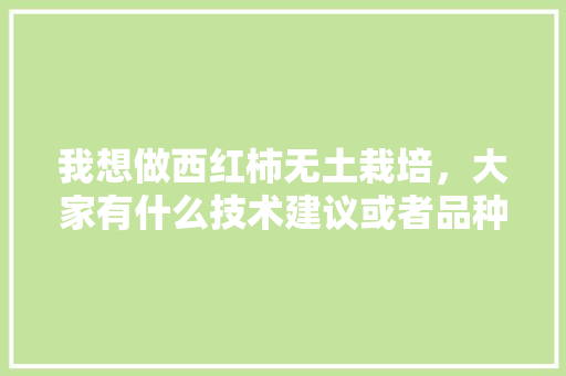 我想做西红柿无土栽培，大家有什么技术建议或者品种建议「番茄无水育苗怎么种植的视频」 我想做西红柿无土栽培，大家有什么技术建议或者品种建议「番茄无水育苗怎么种植的视频」 花朵知识