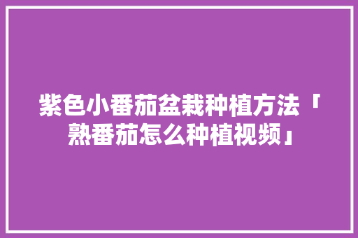 紫色小番茄盆栽种植方法「熟番茄怎么种植视频」 紫色小番茄盆栽种植方法「熟番茄怎么种植视频」 植物种类