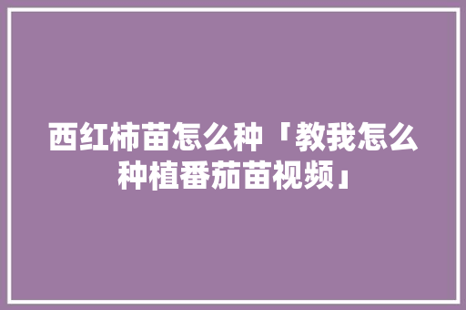 西红柿苗怎么种「教我怎么种植番茄苗视频」 西红柿苗怎么种「教我怎么种植番茄苗视频」 种植技巧