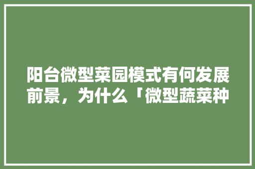 阳台微型菜园模式有何发展前景，为什么「微型蔬菜种植小技巧图片大全」 阳台微型菜园模式有何发展前景，为什么「微型蔬菜种植小技巧图片大全」 种植技巧