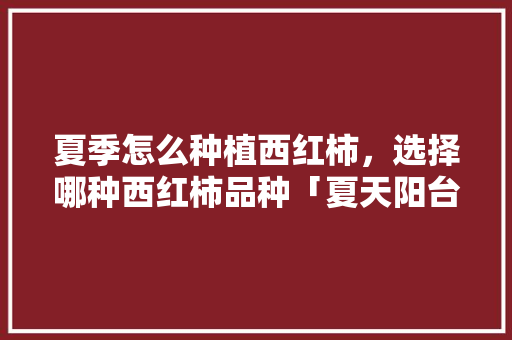 夏季怎么种植西红柿，选择哪种西红柿品种「夏天阳台番茄怎么种植的呢」 夏季怎么种植西红柿，选择哪种西红柿品种「夏天阳台番茄怎么种植的呢」 番茄病虫害防治
