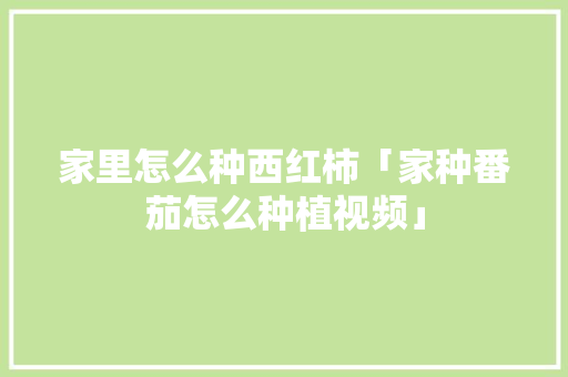 家里怎么种西红柿「家种番茄怎么种植视频」 家里怎么种西红柿「家种番茄怎么种植视频」 土壤施肥