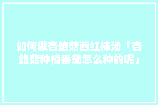 如何做杏鲍菇西红柿汤「杏鲍菇种植番茄怎么种的呢」 如何做杏鲍菇西红柿汤「杏鲍菇种植番茄怎么种的呢」 植物种类
