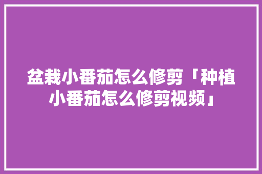 盆栽小番茄怎么修剪「种植小番茄怎么修剪视频」 盆栽小番茄怎么修剪「种植小番茄怎么修剪视频」 农业常识