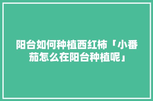 阳台如何种植西红柿「小番茄怎么在阳台种植呢」 阳台如何种植西红柿「小番茄怎么在阳台种植呢」 农业常识