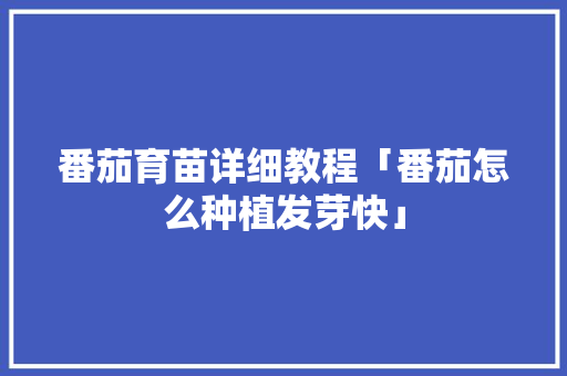 番茄育苗详细教程「番茄怎么种植发芽快」 番茄育苗详细教程「番茄怎么种植发芽快」 番茄种植技巧