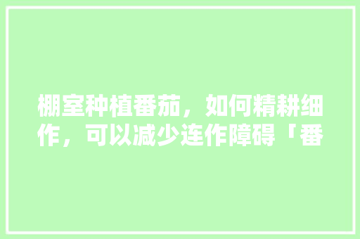 棚室种植番茄，如何精耕细作，可以减少连作障碍「番茄种植怎么翻土视频」