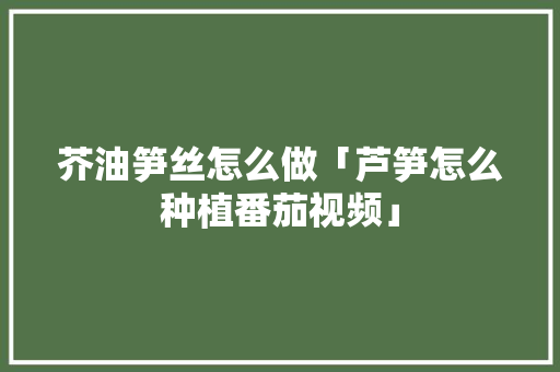 芥油笋丝怎么做「芦笋怎么种植番茄视频」 芥油笋丝怎么做「芦笋怎么种植番茄视频」 番茄种植技巧