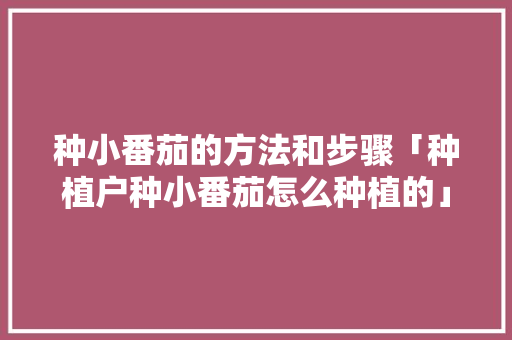 种小番茄的方法和步骤「种植户种小番茄怎么种植的」 种小番茄的方法和步骤「种植户种小番茄怎么种植的」 土壤施肥