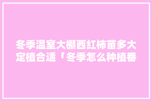 冬季温室大棚西红柿苗多大定植合适「冬季怎么种植番茄苗子视频」 土壤施肥 冬季温室大棚西红柿苗多大定植合适「冬季怎么种植番茄苗子视频」 冬季温室大棚西红柿苗多大定植合适「冬季怎么种植番茄苗子视频」 土壤施肥
