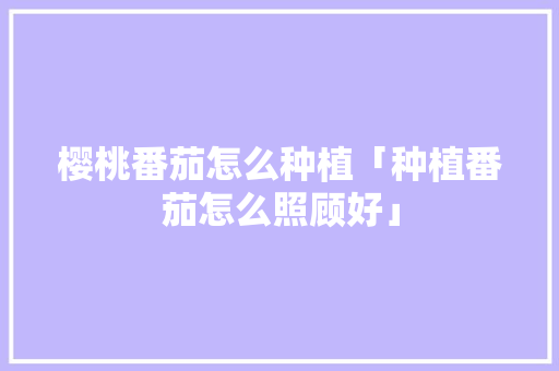 樱桃番茄怎么种植「种植番茄怎么照顾好」 樱桃番茄怎么种植「种植番茄怎么照顾好」 番茄种植技巧