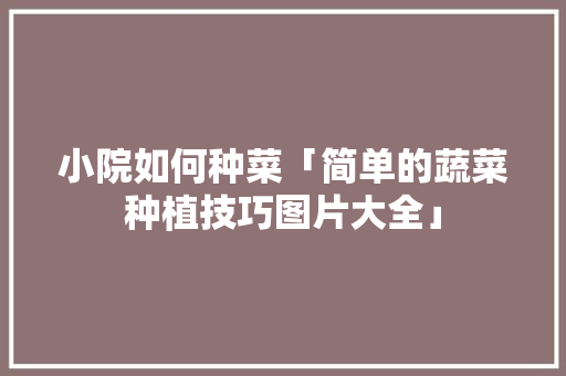 小院如何种菜「简单的蔬菜种植技巧图片大全」 小院如何种菜「简单的蔬菜种植技巧图片大全」 农业常识