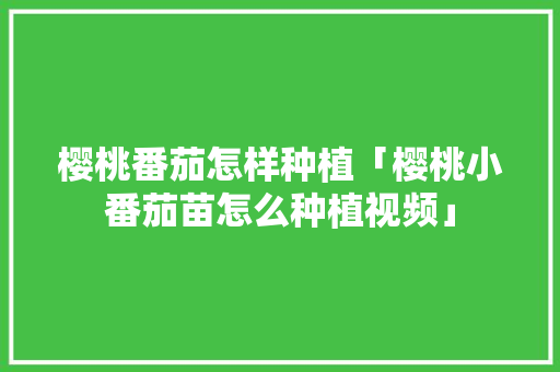 樱桃番茄怎样种植「樱桃小番茄苗怎么种植视频」 樱桃番茄怎样种植「樱桃小番茄苗怎么种植视频」 番茄病虫害防治