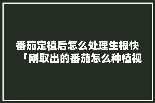 番茄定植后怎么处理生根快「刚取出的番茄怎么种植视频」 番茄定植后怎么处理生根快「刚取出的番茄怎么种植视频」 植物种类