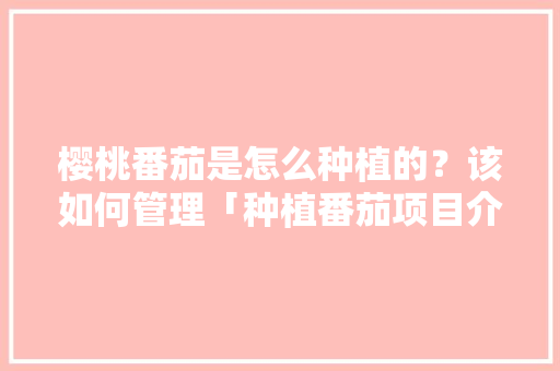 樱桃番茄是怎么种植的？该如何管理「种植番茄项目介绍怎么写文案」 樱桃番茄是怎么种植的？该如何管理「种植番茄项目介绍怎么写文案」 种植技巧