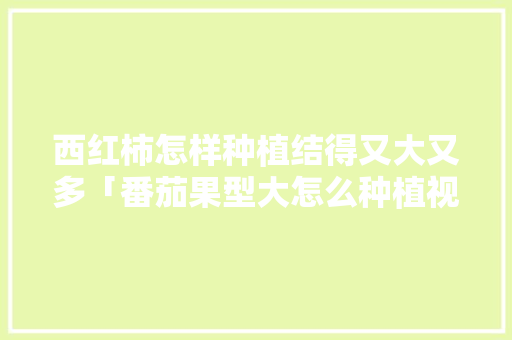 西红柿怎样种植结得又大又多「番茄果型大怎么种植视频」 西红柿怎样种植结得又大又多「番茄果型大怎么种植视频」 番茄病虫害防治