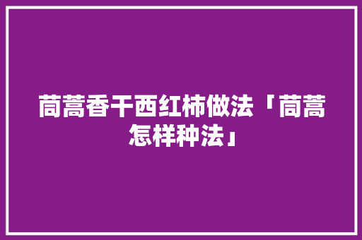 茼蒿香干西红柿做法「茼蒿怎样种法」