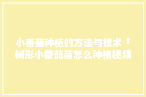 小番茄种植的方法与技术「树形小番茄苗怎么种植视频」 番茄病虫害防治 小番茄种植的方法与技术「树形小番茄苗怎么种植视频」 小番茄种植的方法与技术「树形小番茄苗怎么种植视频」 番茄病虫害防治